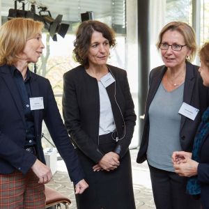 B. Pletz, J. Beile, C. Rieke, D. Molnár